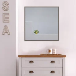 22" X 22" Solo Succulent By Rolf Endermann Framed Canvas Wall Art Gray Wash - Amanti Art -Amanti Art GUEST 02e0e5a3 8e99 427c a559 ad5ea08a171d