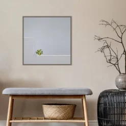 22" X 22" Solo Succulent By Rolf Endermann Framed Canvas Wall Art Gray Wash - Amanti Art -Amanti Art GUEST 09809f40 5ae0 4ffe 970a dc762b23adc2