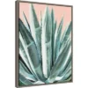 18" X 24" Laughter Succulent By Alana Clumeck Framed Canvas Wall Art Gray - Amanti Art -Amanti Art GUEST 0ecac424 9ef0 4d20 a240 ffb9a891e51f