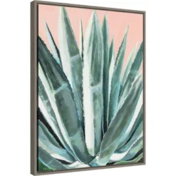 18" X 24" Laughter Succulent By Alana Clumeck Framed Canvas Wall Art Gray - Amanti Art