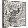 22" X 22" Peacock Garden III BW By Miranda Thomas Framed Canvas Wall Art Gray Wash - Amanti Art