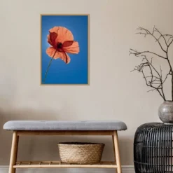 16" X 23" Poppy Flower By Michele Niles Danita Delimont Framed Canvas Wall Art Blue - Amanti Art -Amanti Art GUEST 1efdc793 7615 477c 8234 bb327fffe9a0