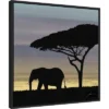 22" X 22" Savanna Elephant I By James Burghardt Framed Canvas Wall Art Black - Amanti Art -Amanti Art GUEST 21228453 4100 40a6 8771 e52b4e8134c3