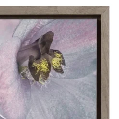 16" X 16" USA, Washington State, Seabeck. Delphinium Blossoms Close-up. Framed Canvas Wall Art - Amanti Art 7 16" X 16" USA, Washington State, Seabeck. Delphinium Blossoms Close-up. Framed Canvas Wall Art - Amanti Art -Amanti Art GUEST 3124fd4e 07a9 48af 93b1 c751a39879fd