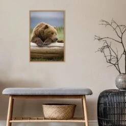 16" X 23" Bear Resting On A Beached Log By Paul Souders Danita Delimont Framed Canvas Wall Art Brown - Amanti Art 14 16" X 23" Bear Resting On A Beached Log By Paul Souders Danita Delimont Framed Canvas Wall Art Brown - Amanti Art -Amanti Art GUEST 3b89571e 2d9b 4ad0 8e3f fe05cfb364e4