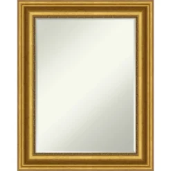 Parlor Petite Bevel Bathroom Wall Mirror -Amanti Art GUEST 3f8f9241 79a6 408b 94ac b372ad14b35c