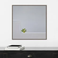 22" X 22" Solo Succulent By Rolf Endermann Framed Canvas Wall Art Gray Wash - Amanti Art -Amanti Art GUEST 4241cac6 08a1 4981 946f 7eb5ad72a5f4
