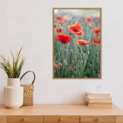 16" X 23" Poppies In Bloom By Brent Bergherm Danita Delimont Framed Canvas Wall Art - Amanti Art -Amanti Art GUEST 4263fc59 5d6a 4bf7 9fdf 5c2d33ea99d6