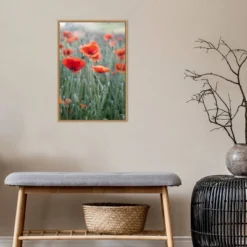 16" X 23" Poppies In Bloom By Brent Bergherm Danita Delimont Framed Canvas Wall Art - Amanti Art -Amanti Art GUEST 45272054 9cc0 40f1 af03 2b230222fdef