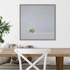 22" X 22" Solo Succulent By Rolf Endermann Framed Canvas Wall Art Gray Wash - Amanti Art -Amanti Art GUEST 503c2573 0d92 46a2 85f3 586a066bc7c5