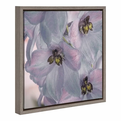 16" X 16" USA, Washington State, Seabeck. Delphinium Blossoms Close-up. Framed Canvas Wall Art - Amanti Art 3 16" X 16" USA, Washington State, Seabeck. Delphinium Blossoms Close-up. Framed Canvas Wall Art - Amanti Art