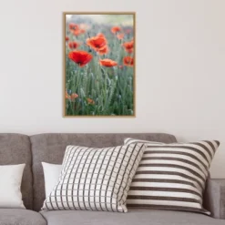 16" X 23" Poppies In Bloom By Brent Bergherm Danita Delimont Framed Canvas Wall Art - Amanti Art -Amanti Art GUEST 5936bd63 25e8 4c29 8552 30f8b0e82f83