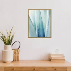 16" X 20" Pale Agave No.1 By Lupen Grainne Framed Canvas Wall Art Blue - Amanti Art -Amanti Art GUEST 5ca8b4c0 e72d 43ba 8518 39be3b7a7555