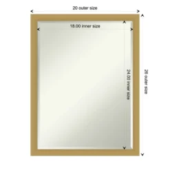 Grace Brushed Narrow Petite Bevel Bathroom Wall Mirror -Amanti Art GUEST 5dcc3b91 2350 4ed8 a5c8 60a8037b6126