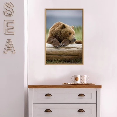 16" X 23" Bear Resting On A Beached Log By Paul Souders Danita Delimont Framed Canvas Wall Art Brown - Amanti Art 6 16" X 23" Bear Resting On A Beached Log By Paul Souders Danita Delimont Framed Canvas Wall Art Brown - Amanti Art - Image 4