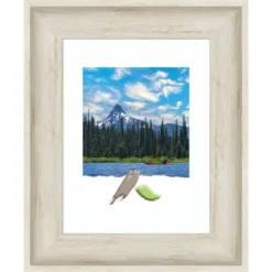 Amanti Art Regal Birch Cream Picture Frame -Amanti Art GUEST 62e6907f ac77 4290 9b9a 9a890152da0a