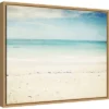 20" X 16" In The Clear By Lupen Grainne Framed Canvas Wall Art - Amanti Art -Amanti Art GUEST 649d1aca ec09 4503 b931 1c9d6bba4e9d