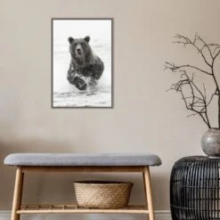 16" X 23" Bear Fishing For Salmon By Adam Jones Danita Delimont Framed Canvas Wall Art Brown - Amanti Art -Amanti Art GUEST 66b2c902 a811 4a8b 94f1 fdffc4986ab4