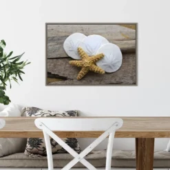 23" X 16" Sand Dollar And Starfish Still Life By Savanah Plank Danita Delimont Framed Canvas Wall Art - Amanti Art -Amanti Art GUEST 6be8d984 bd03 46ae a21b d4bf7392dc5e