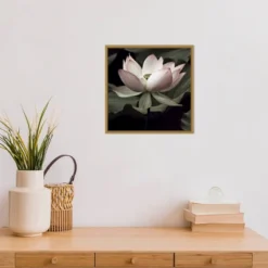 16" X 16" The Lotus I By Andy Neuwirth Framed Canvas Wall Art - Amanti Art -Amanti Art GUEST 6f274d81 bd8c 40ac 8c4a 350dee74486a