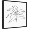 16" X 16" Foliage Contour III By Annie Warren Framed Canvas Wall Art - Amanti Art