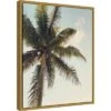 16" X 20" Coconut Palm By Olivia Joy Framed Canvas Wall Art - Amanti Art