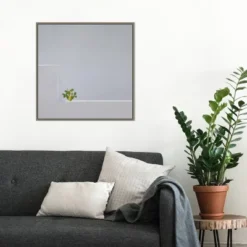 22" X 22" Solo Succulent By Rolf Endermann Framed Canvas Wall Art Gray Wash - Amanti Art -Amanti Art GUEST 76ada549 0a3d 4937 a29e 669a63ba2dbb