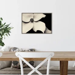 23" X 16" Dogwood Flower By Gary Horsfall Framed Canvas Wall Art - Amanti Art -Amanti Art GUEST 77a6c668 90f6 403b a6c5 d28283cf71bf