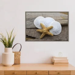 23" X 16" Sand Dollar And Starfish Still Life By Savanah Plank Danita Delimont Framed Canvas Wall Art - Amanti Art -Amanti Art GUEST 79fdeb31 fc21 4b5f 8321 c7dc06045f5e