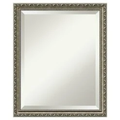 Parisian Silver Framed Wall Mirror - Amanti Art