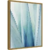 16" X 20" Pale Agave No.1 By Lupen Grainne Framed Canvas Wall Art Blue - Amanti Art -Amanti Art GUEST 84402aa8 e828 429a 9542 828065c0a89c