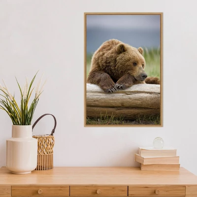 16" X 23" Bear Resting On A Beached Log By Paul Souders Danita Delimont Framed Canvas Wall Art Brown - Amanti Art 7 16" X 23" Bear Resting On A Beached Log By Paul Souders Danita Delimont Framed Canvas Wall Art Brown - Amanti Art - Image 5