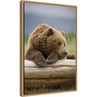 16" X 23" Bear Resting On A Beached Log By Paul Souders Danita Delimont Framed Canvas Wall Art Brown - Amanti Art 3 16" X 23" Bear Resting On A Beached Log By Paul Souders Danita Delimont Framed Canvas Wall Art Brown - Amanti Art