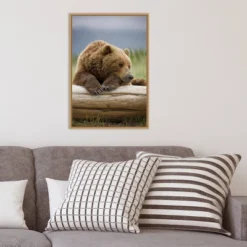 16" X 23" Bear Resting On A Beached Log By Paul Souders Danita Delimont Framed Canvas Wall Art Brown - Amanti Art 15 16" X 23" Bear Resting On A Beached Log By Paul Souders Danita Delimont Framed Canvas Wall Art Brown - Amanti Art -Amanti Art GUEST af8774ba 77c8 4478 a058 5ac2bdf24529