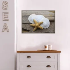 23" X 16" Sand Dollar And Starfish Still Life By Savanah Plank Danita Delimont Framed Canvas Wall Art - Amanti Art -Amanti Art GUEST b393c88a aa36 4817 b820 f9b91ad6cfab