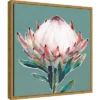 16" X 16" Blooming King Protea By Isabelle Z Framed Canvas Wall Art - Amanti Art