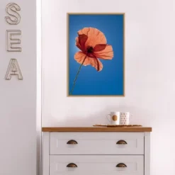 16" X 23" Poppy Flower By Michele Niles Danita Delimont Framed Canvas Wall Art Blue - Amanti Art -Amanti Art GUEST b8603119 e2a4 4822 b0b7 ed1724cb9d18
