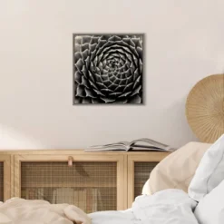 16" X 16" Succulent By Gary Horsfall Framed Canvas Wall Art - Amanti Art -Amanti Art GUEST bfb4b27a 0c6e 49a1 9008 f89b5e680997