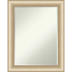 Elegant Brushed Petite Bevel Bathroom Wall Mirror -Amanti Art GUEST cba28673 e381 4c24 b50d c20e8aa92ab8