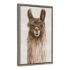 16" X 23" Suri Alpaca I Framed Canvas Wall Art - Amanti Art