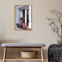 16" X 23" How Much Is That Dachshund In The Window? By Ric Ergenbright Danita Delimont Framed Canvas Wall Art - Amanti Art -Amanti Art GUEST e3ee61b8 8dae 4be5 b4ce 65be6123e3f0