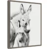 16" X 20" Donkey Portrait V By PH Burchett Framed Canvas Wall Art - Amanti Art -Amanti Art GUEST ec24eaff 1c06 4be9 be64 8bf8e21168f5
