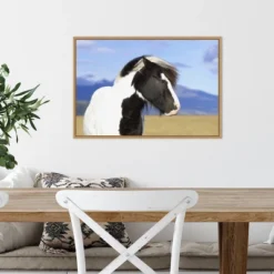 23" X 16" Icelandic Horse By Peter Langer Danita Delimont Framed Canvas Wall Art - Amanti Art 12 23" X 16" Icelandic Horse By Peter Langer Danita Delimont Framed Canvas Wall Art - Amanti Art -Amanti Art GUEST f38b4511 3ebb 4e01 ab40 81e6f10d5b9b