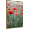 16" X 23" Poppies In Bloom By Brent Bergherm Danita Delimont Framed Canvas Wall Art - Amanti Art -Amanti Art GUEST f3f4b39f b65e 40bb 8359 2c38fabe62d6