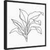 16" X 16" Foliage Contour I By Annie Warren Framed Canvas Wall Art - Amanti Art -Amanti Art GUEST f46ed813 204e 42f4 8c36 1b9ae180283d