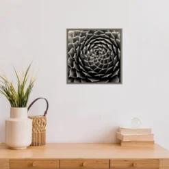 16" X 16" Succulent By Gary Horsfall Framed Canvas Wall Art - Amanti Art -Amanti Art GUEST f674fe22 7da5 41a9 a480 50d8251dce05